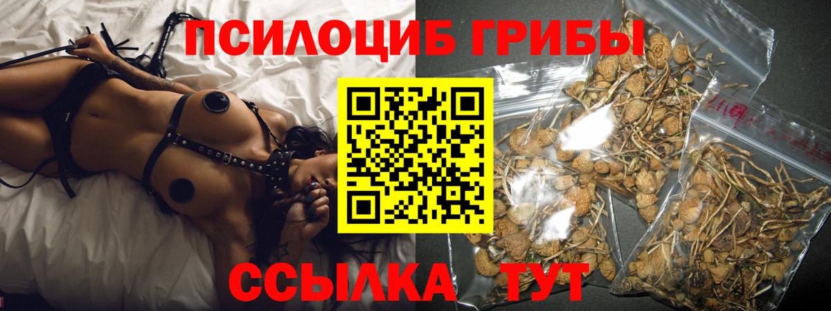 Галлюциногенные грибы прущие грибы  Вход с VPN  Минусинск 